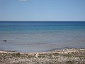 Mackinaw Island Area May 2008 0589